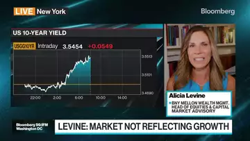 Earnings Are Going to Move the Markets: Levine
