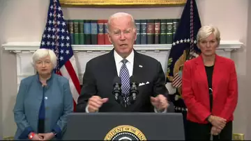 BIden on Windfall Tax