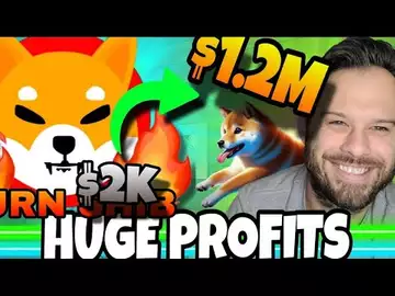 Trader Turns $2k Into $1.2 Million! This New Token Could Do The Same?!