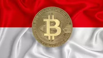 BITCOIN IS CRASHING AGAIN... BUT MORE COUNTRIES ARE BUYING!!