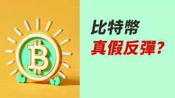 BTC真反彈?假反彈?!跌到哪做多?