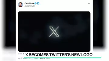 Why Musk Is Dumping the Twitter Bird