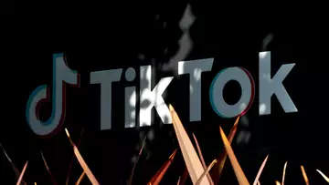 What Happens to Content Creators If TikTok Is Sold?