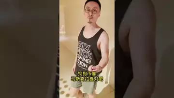 如何看待屎币和狗狗币