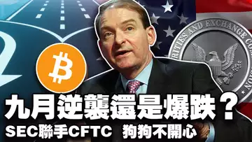 九月比特币虚火以太坊拉锯?上市公司囤以太坊;美国监管双雄联手;马斯克御用律师押狗狗币;欧盟冷水泼代币股 20250903
