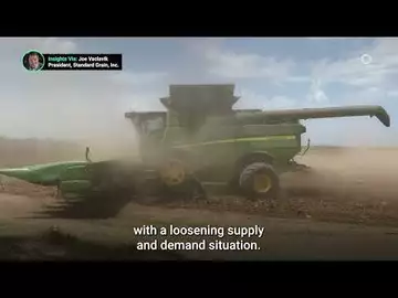 Record US Corn and Soybean Yield Estimates Fail to Materialize