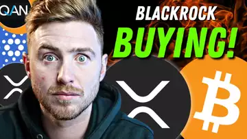 ⚠️RIPPLE XRP BITCOIN: BLOCKROCK IS GOING ALL IN!!⚠️(BitBoy Removed from BitBoy Crypto!?)