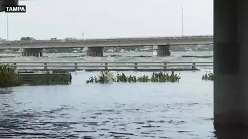 Hurricane Idalia Makes Landfall in Florida
