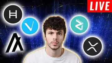 CRYPTO NEWS TODAY - HBAR, VECHAIN, $1 DOGECOIN, RIPPLE XRP & MORE