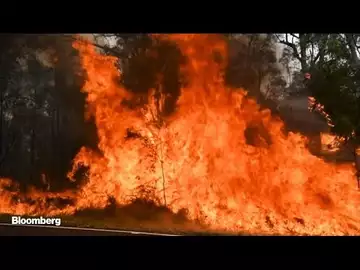Australian Wildfires Burn Area Twice the Size of Switzerland