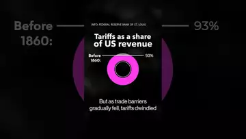 Trump's Tariffs: Winners, Losers and who foots the bill #politics #shorts