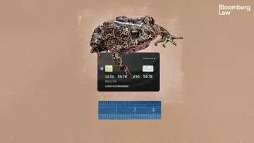 Can the Push for Clean Energy Destroy the Habitat for a Rare Toad?