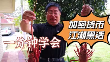 加密世界的“鲸鱼”
