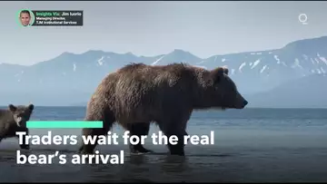 Is the Real Bear Market Still to Come?