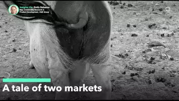 Cattle and Hogs — A Tale of Two Markets