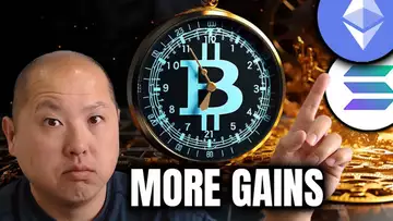 Bitcoin Momentum Builds | Big Gains for These Crypto Projects