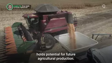 Brazil Takes Top Spot for Corn Exports