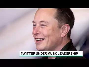 Former Twitter COO on Elon Musk