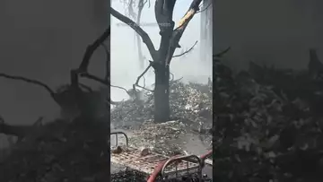 Air India Boeing Jet heading for London crashed this morning