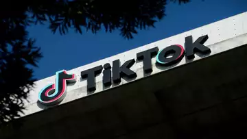TikTok Seeks to Pause US Ban Pending SCOTUS Review