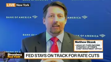 Rate Hikes Take 12-24 Months to Impact Economy: Diczok