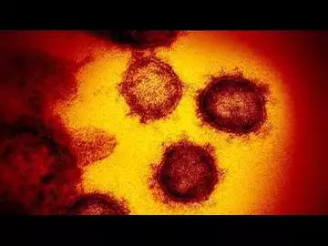 Coronavirus Concerns Causing Major Event Cancellations Around the World