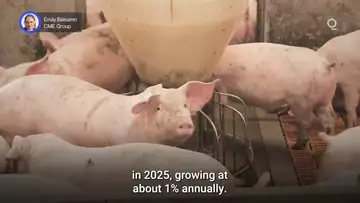 Will Micro Ingredients for Livestock Feed Spark Futures Volatility? | Presented by CME Group