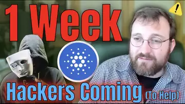 Hackers Join Cardano! ADA Has One Week Left Before HUGE Catalyst!