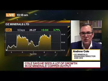 Oz Minerals CEO: Copper, Nickel Demand Growing Strongly