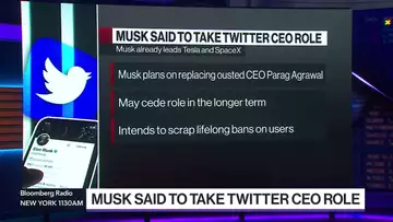 What Will Elon Musk Do With Twitter?