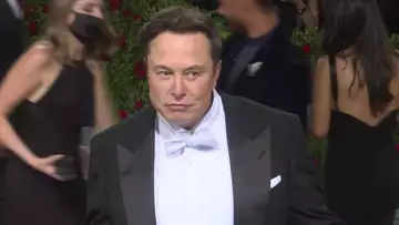 Watch Elon Musk Walk the Red Carpet With His Mom
