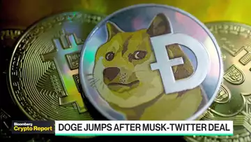Crypto Report: Musk, Twitter and Dogecoin