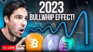 Will Crypto Survive The Bullwhip Effect?