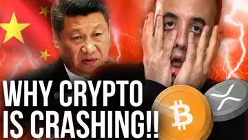 Real Reason For The Crypto Crash | How To Avoid Altcoin Losses!