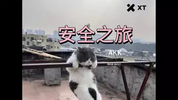 安全之旅 (创作:AKK)