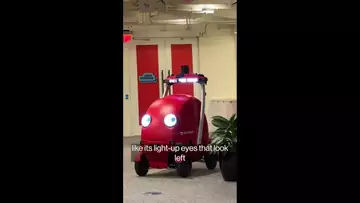 DoorDash Unveils Delivery Robot Named Dot