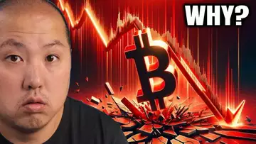Why Bitcoin Keeps Crashing