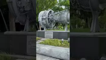 临港见闻-01