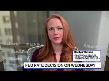 Fed on Hold, May Cut Rates Next Year: BlackRock's Watson