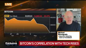 Novogratz on Bitcoin Volatility, Pain in Markets