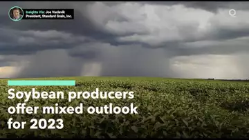 Soybean Producers Offer Mixed Outlook for 2023