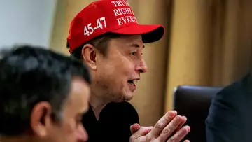 Musk Calls Trump Trade Adviser 'Moron'