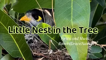 Little Nest in the Tree    ( Lyrics and Music,   Robert/Grace/Nathan    No, RLAM-R-004)