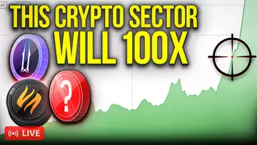 Investing In This Crypto Sector Could 100X Your Portfolio!