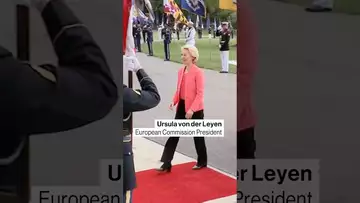 European leaders arrive for Trump-Zelenskiy meeting at White House #war