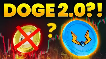 THIS Is What DOGE Was Supposed To Be!