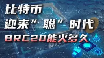 聪时代来临,Ordinals上位谱写神话,BRC-20火热该如何把握机会?