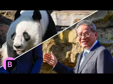 Chinese Premier Li Visits Pandas at Adelaide Zoo in Australia