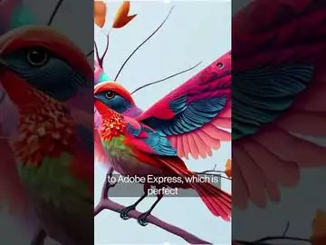 Adobe Head of Digital David Wadhwani on Canva and CapCut competition