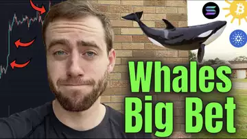 WHALES HAVEN'T DONE THIS IN 5 MONTHS! Bitcoin About To EXPLODE! (When ADA, ETH, SOL Will Hit ATHs)